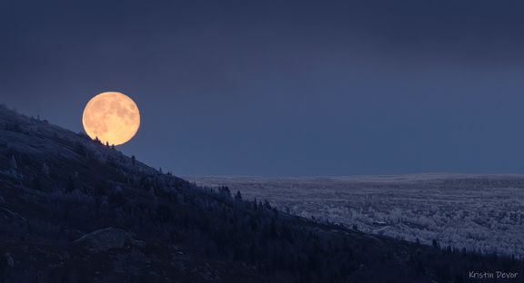 Trillende måne nedover Skogshorn