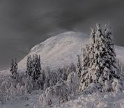 Vinter i Hemsedal